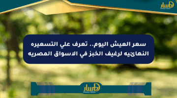 سعر العيش اليوم.. تعرف على التسعيرة النهائية لرغيف الخبز في الأسواق المصرية